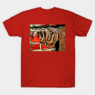 Red Bricks and Horseshoes T-Shirt